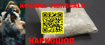 соль ск Сланцы