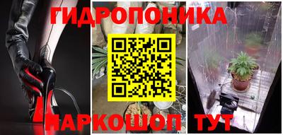 соль ск Сланцы