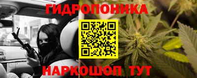 соль ск Сланцы
