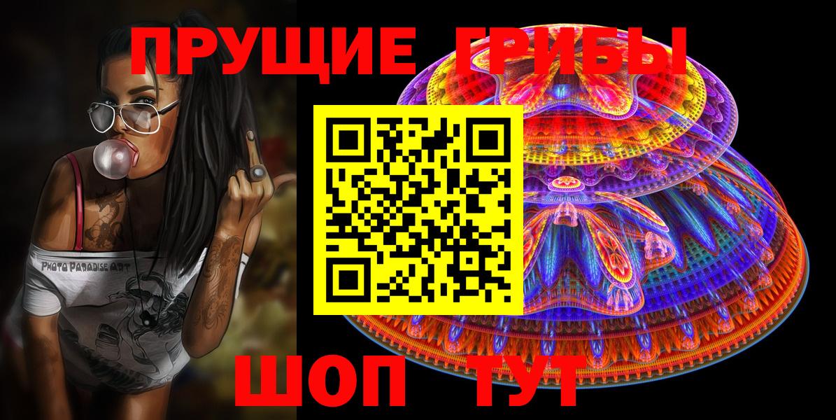 Солнечногорск  Псилоцибиновые грибы Cubensis  Вход с VPN 